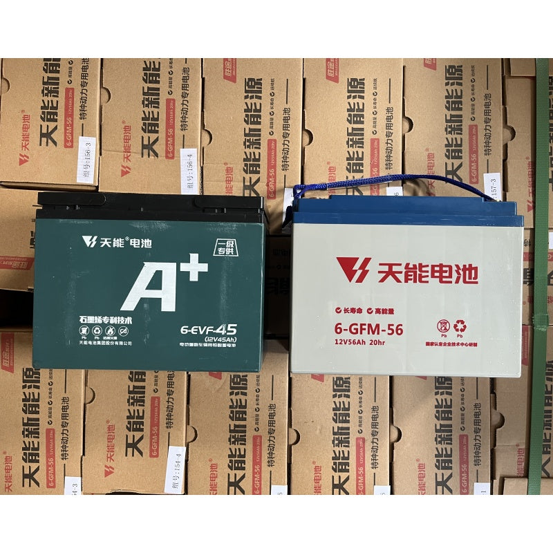 Sealed Lead Acid Battery (4-Pack)